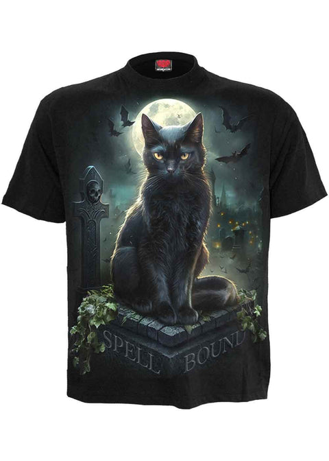 1 72341